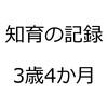 知育の記録を振り返ってみました。2017年3月、娘3歳4か月。