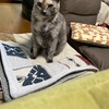 ドラマの録画が溜まって仕方ない