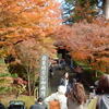 北鎌倉の「円覚寺」で美しい紅葉見物！！（２）