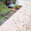 台風ふ～ん