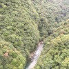 痛み