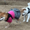 年内ラストRUN