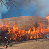 伊東 伊豆高原の大室山 山焼きを見に行ってきました 成功
