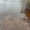 雨と雨具