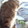 ぴったりマーク