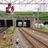 廃川を見上げる