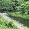 6月6日(金)秩父フライフィールドの河川情報