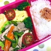 ヨメさん弁当〜青椒肉絲・だし巻き〜