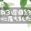 復職3週目終了！ついに落ちました・・・