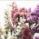 主観でしかない映画感想