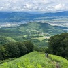 平常身是道