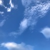 空を見上げた