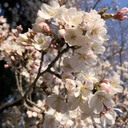 生活と人生