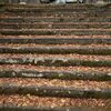 『 秋たび　野津町普現寺 』