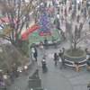 ハチ公が横目で見るクリスマスツリー