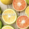 【SHONAN･LEOデモ口座】2019/12/4(水)の成績