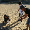 beach clean! 11/15（日）ビーチクリーンしま～す（＾＾）！
