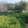 「車塚古墳」福岡県みやま市瀬高町山門