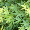 えっ？　日焼け止めってそうなの？