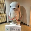 【広島】『広島一泊旅行』に行ってきました。 宮島水族館  伊都岐珈琲