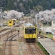 【速報】のと鉄道桜めぐり