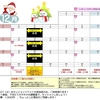 【GR姫路】12月スケジュールのお知らせ