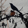 2024-12-11(Wed)