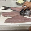 包丁は外科医が持つべきか