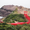 青い海に映える無数の朱色　～元乃隅神社～