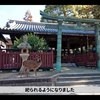 多神教の神道崇拝について。