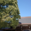 初詣（渋谷区編）