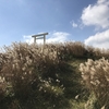 入道ヶ岳（椿大神社御神体）登山