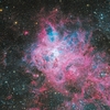 NGC2070(タランチュラ星雲)を Telescope Live で