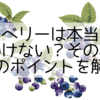 ブルーベリーは本当に植えてはいけない？その真相と成功のポイントを解説！