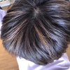 【アラフィフ】白髪ぼかし継続中【美容室】
