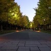 夕暮れの中島公園