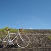 てるてる坊主は雨ざらし。