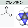 クレアチンという名前の謎…
