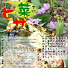 ５月講座「山菜ピザ」