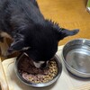 まろにー3838日目