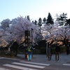 幻想的な鶴ヶ城の夜桜