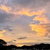 マスク着用も旅行もお墨付きがなければ判断できない日本人