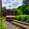 紫陽花と登山電車③