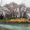 大神塚(応神塚)古墳発掘調査現場見学会 (3/25)  寒川町岡田