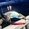 富山湾太刀魚ジギング釣り考