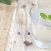 水を飲むだけで綺麗になるのは本当？水を飲むことで得られる効果