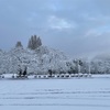 雪景色