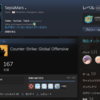 steamのレベルを100まで上げた【日記】