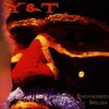 Y&T / Endangered Species