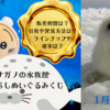 アザラシだけしか当たらない！【ナガノの水族館アザラシぬいぐるみくじ】（1/24発売）販売期間は？引換や発送方法は？ラインナップや確率は？